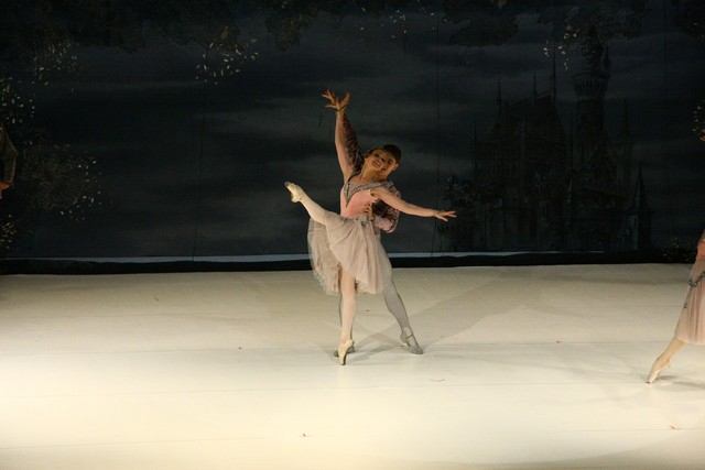 Swan Lake